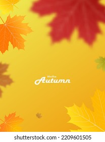 Autumn falling leaves background Vector template. Leaf vector