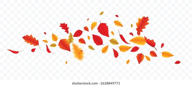 Autumn falling leaves banner. Autumn maple and oak leaves, isolated on transparent backgrounds
