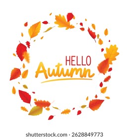 Autumn falling leaves banner. Autumn maple and oak leaves, isolated on transparent backgrounds