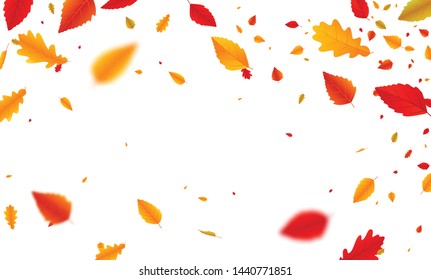 Autumn falling leaves banner on white background