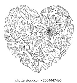 Autumn falling leaves. chestnut, rowan, aspen, oak, maple, doodle style. Hand drawn black and white isolated. Autumn leaves coloring page art therapy for children and adults.