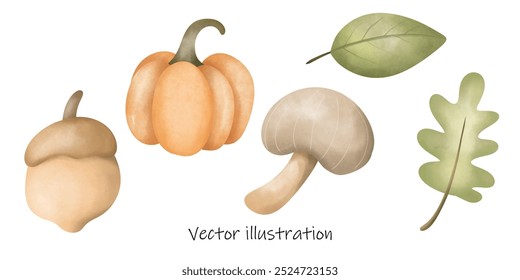  Autumn falling leaves , autumn color leaves , mushroom , pumpkin , oak 