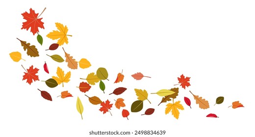 Autumn falling leaves. Flying orange foliage from tree on white background isolated vector illustration authors work