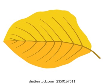 Autumn Falling Leaves. Hand Drawn Autumn Leaf Illustration