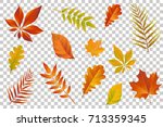 Autumn falling leaves isolated on transparent background. Vector illustration.