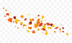 Autumn Falling Leaves Isolated On White Background. Autumn Maple And Oak Leaves.