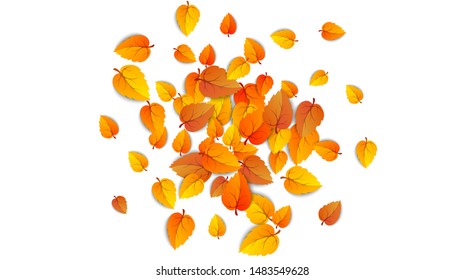 Autumn falling leaves isolated on white background. Autumnal round yellow leaf fall down, Tree foliage and gold leaves. September autumn golden leaf border. Vector illustration