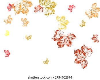 Autumn falling leaves isolated on white background. Canadian symbol maple red orange gold dry autumn leaves.  Stylish tree foliage vector october seasonal background.