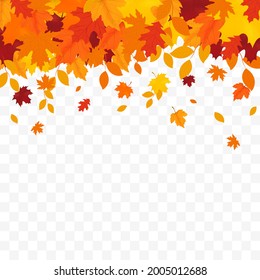 Autumn falling leaves isolated on white background. Autumn background with golden maple and oak leaves.