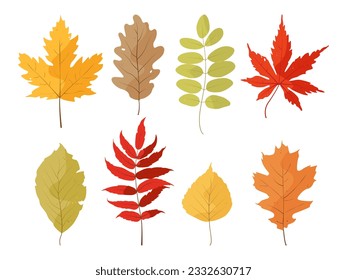 Autumn falling leaves isolated on white background. Hand drawn vector autumn leaves set. Colored trendy illustration. Vector illustration