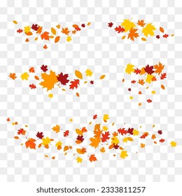 Autumn falling leaves isolated on white background. Autumn maple and oak leaves.