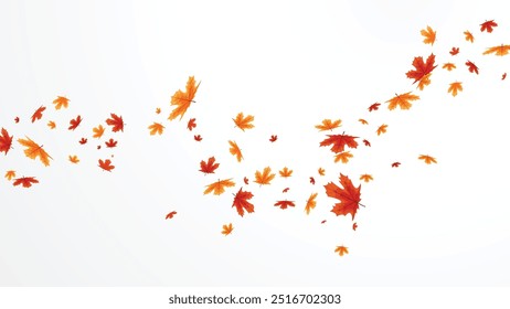 Autumn falling leaves, isolated on white