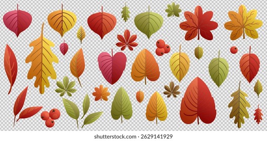 Autumn falling leaves isolated on transparent background. Vector illustration.