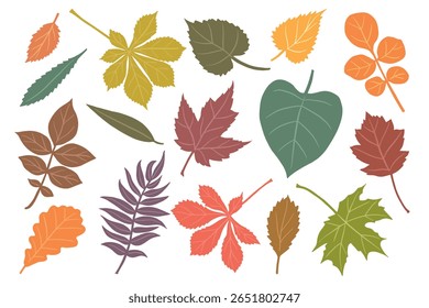 outono folhas caindo isoladas sobre fundo branco. Ilustração de conjunto vetorial com salgueiro, amieiro, bordo, castanha, carvalho, lilás e outros.