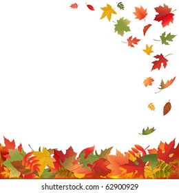 Autumn Falling Leaves, Isolated On White Background, Vector Illustration