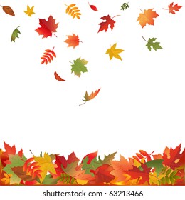 23,254 Falling leaves tree vector Images, Stock Photos & Vectors ...