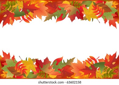 Hojas Caídas Otoño, Aisladas En Fondo Blanco, Ilustración Vectorial