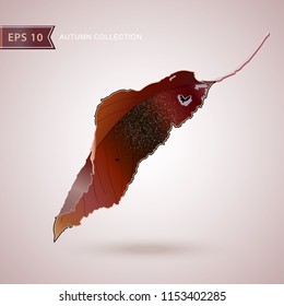 Autumn falling leaves. Leaf fall. Autumn design. Vector illustration