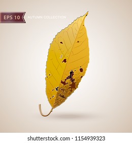 Autumn falling leaves. Leaf fall. Autumn design. Vector illustration