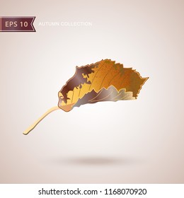 Autumn falling leaves. Leaf fall. Autumn design. Vector illustration