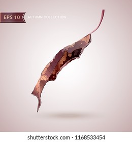 Autumn falling leaves. Leaf fall. Autumn design. Vector illustration