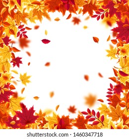 Autumn falling leaves. Nature background with red, orange, yellow foliage. Flying leaf. Season sale. Vector illustration.