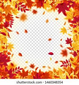 Autumn falling leaves. Nature background with red, orange, yellow foliage. Flying leaf. Season sale. Vector illustration.