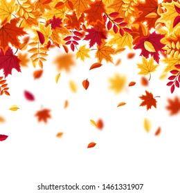 Autumn falling leaves. Nature background with red, orange, yellow foliage. Flying leaf. Season sale. Vector illustration.