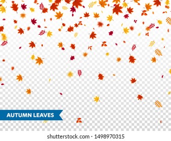 Autumn falling leaves. Nature background with red, orange, yellow foliage. Flying leaf. Season sale. Vector illustration.