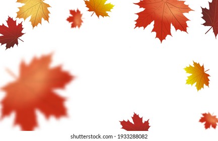 Autumn falling leaves. Nature background with red, orange, yellow foliage. Flying leaf. Season sale. Vector illustration.