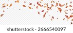 Autumn falling leaves on transparent background, vector, png. Wave of falling leaves in the wind, leaf fall. Rowan berries, acorns, yellow leaves of oak, maple, birch, rowan.
