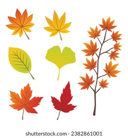 Autumn falling leaves set. Forest maple leaf in September season, flying orange foliage from a tree on white background, isolated template vector illustration of fall autumn.