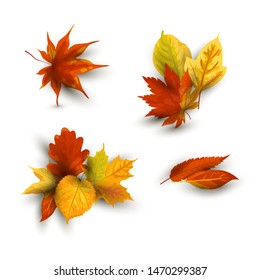 Autumn falling leaves set. Vector illustration isolated on white background. Design element with shadow for poster, web, flyers, invitation, postcard, Happy Thanksgiving day.