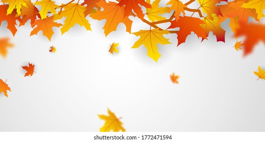 Autumn falling leaves vector background