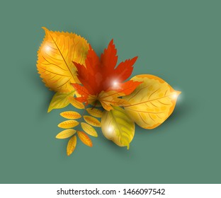 Autumn falling leaves vector illustration isolated on background. Design element with shadow for poster, web, flyers, invitation, postcard, Happy Thanksgiving day.