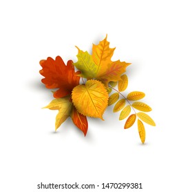 Autumn falling leaves vector illustration isolated on white background. Design element with shadow for poster, web, flyers, invitation, postcard, Happy Thanksgiving day.