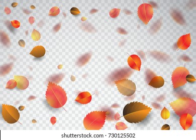 Autumn Falling Leaves. Vector Stock.