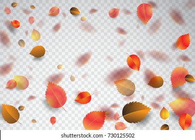 Autumn falling leaves. Vector stock.