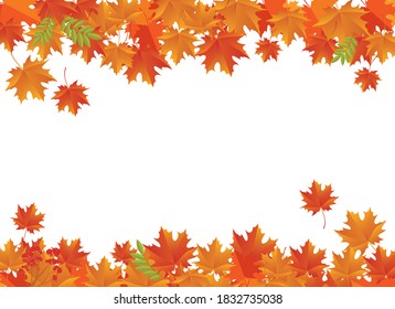 Autumn falling maple leaves decorative white frame vector. Autumn foliage leaves decoration white frame vector. Autumn border with copy space fort text. Floating red orange autumn leaves background