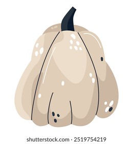 Autumn festival element of the autumn harvest. Pumpkin, courgette. Harvest, Halloween, Thanksgiving. Vegetable vector stylised element. Trending vector graphics for stickers, ad, patterns, posters