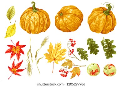 Autumn festival set with decor elements of nature in vector graphic design illustration