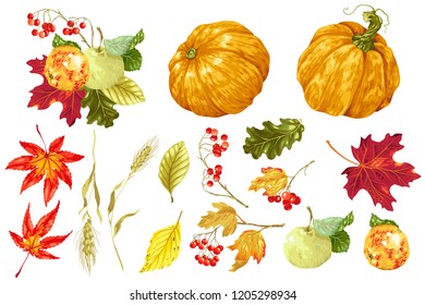 Autumn festival set with decor elements of nature in vector graphic design illustration