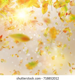 Autumn festive background with leaves and blue sky. And also includes EPS 10 vector