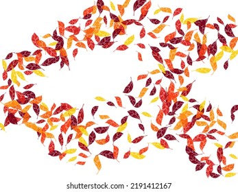 Autumn festive banner with scattered birch leaves in traditional fall colors - orange, yellow, red, brown. Vector illustration. Autumn leaves dry foliage falling and flying.