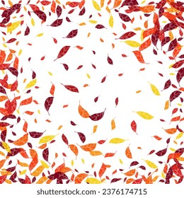 Autumn festive banner with scattered birch leaves in traditional fall colors - orange, yellow, red, brown. Vector illustration. Autumn leaves dry foliage falling and flying.