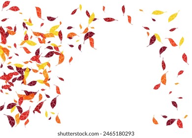 Anuncio festivo de otoño con hojas de abedul dispersas en los colores tradicionales de otoño - naranja, amarillo, rojo, marrón. Ilustración vectorial. El otoño deja el follaje seco cayendo y volando.