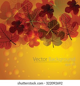 Autumn fig leaves vector background