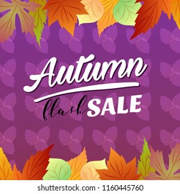 autumn flash sale vivid color seasonal leaves