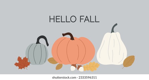 Autumn flat banner. Hello fall. Various pumpkins and leaves on a gray background. Seasonal background. Autumn vegetables and maple leaf, oak leaf, acorn. Harvest festival.
