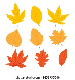 Autumn flat colorful leaves set